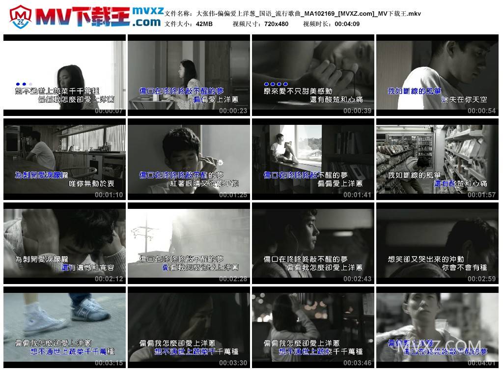 大张伟-偏偏爱上洋葱_国语_流行歌曲_MA102169